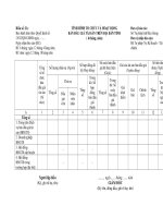 MẪU TÌNH HÌNH TỔ CHỨC VÀ HOẠT ĐỘNG BÁN ĐẤU GIÁ TÀI SẢN TRÊN ĐỊA BÀN TỈNH