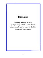 Giải pháp mở rộng tín dụng tại Ngân hàng TMCP Á Châu đối với  doanh nghiệp nhỏ và vừa trên địa bàn thành phố Thái Nguyên