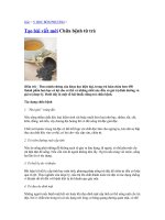 Bài thuốc chữa bệnh từ trà