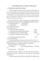 Các hoạt động sản xuất kinh doanh chủ yếu của Công ty proconco