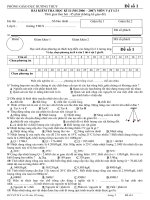 Đề thi HK 2 Hương Thủy năm 2007