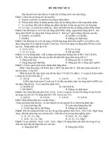 Đề thi thử số 13