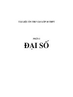 TÀI LIỆU ÔN THI VÀO LỚP 10 (PHẦN ĐẠI SỐ)