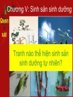 Bai 27 Sinh san sinh duong do nguoi