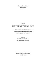 Kỹ thuật trồng cây 