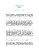 Hoàng Lê nhất thống chí 13