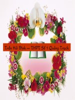 Phong trào chống Pháp cuối TK19