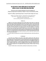 các giải pháp kỹ thuật trồng khoai tây chế biến chip (giống Atlantic) tại vùng Đồng bằng sông Hồng