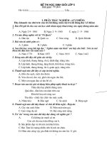 Đề tổng hợp-Thi HSG lớp 5