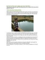 Bí ẩn khúc gổ trăm tuổi