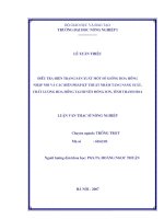 Điều tra hiện trạng sản xuất một số giống hoa hồng nhập nội và các biện pháp kỹ thuật nhằm tăng năng suất, chất lượng hoa hồng tại huyện Đông Sơn tỉnh Thanh Hoá