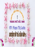 On tap ve dau cau Dau ngoac kep