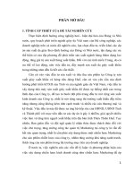 Hoạch định chiến lược marketing tại công ty sản xuất giày xuất khẩu và hàng tiêu dùng huế 