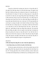 tieu luan cac nuoc XHCN từ 1991  nay