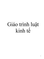 Giáo trình luật kinh tế 