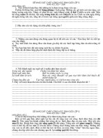 Đề khảo sát học sinh giỏi lớp 5 môn Tiếng Việt