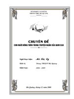 Chuyên Đề môn Văn