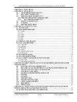 Một số giải pháp nâng cao hiệu quả sản xuất bánh phồng mì tại thị trấn ba chúc  