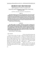 NHÂN GIốNG CÂY Cà CHUA F1 BằNG Kỹ THUậT KHí CANH