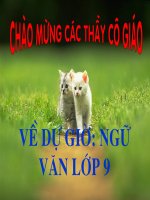 Ngu van 9 - On tap truyen hien dai