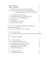 VẤN ĐỀ RỦI RO TÍN DỤNG VỚI CÁC NGÂN HÀNG THƯƠNG MẠI  VIỆT NAM