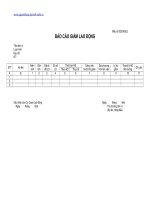 Mau bao cao giam lao dong