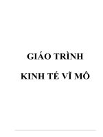 Giáo trình kinh tế vĩ mô 
