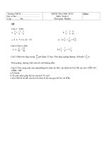 Đề tham khảo thi HKII Toán L6 (8)