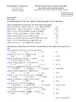 ĐỀ THI TUYỂN SINH CAO ĐẲNG NĂM 2009 Môn: TIẾNG TRUNG QUỐC; Khối: D mã đề   846 