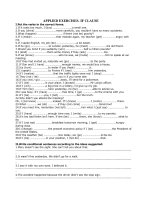 IF CLAUSES - exercises(key)