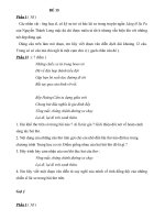 ĐỀ 15( Hướng dẫn tự ôn tập NV 9 )