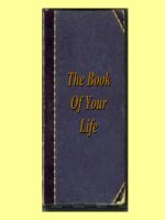 QUYỂN SÁCH CỦA TÔI