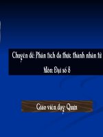 phan tich da thuc thanh nhan tu