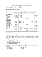 ĐỀ KIỂM TRA MÔN VẬT LÝ HỌC KỲ I LỚP 8 Đề số 2