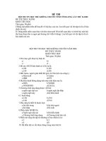 tin hoc_dung cho tieu hoc