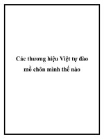 Các thương hiệu việt tự đào mồ chôn mình thế nào 