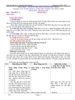 Giáo án lịch sử 11 