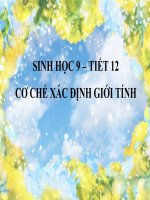 CƠ CHẾ XÁC ĐỊNH GIỚI TÍNH