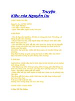 Truyện Kiều -Nguyễn Du