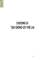 Chọn giống ưu thế lai