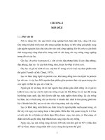 “ So sánh một số giống lạc trong điều kiện vụ thu 2002 trên đất Gia Lâm - Hà Nội ”.