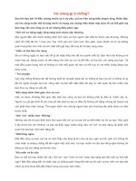 Vợ mong gì ở chồng