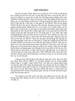 Các giải pháp nhằm đẩy nhanh quá trình cổ phần hóa DNNN