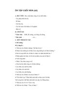 Ôn tập cuối năm-T64