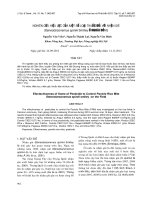 NGHIÊN CỨU HIỆU LỰC CỦA MỘT SỐ LOẠI THUỐC ĐỐI VỚI NHỆN GIÉ Steneotarsonemus spinki Smiley Ở NGOÀI ĐỒNG