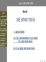 Bai 60-He sinh thai