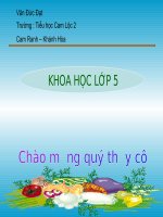 Ôn tập Vật chất và năng lượng