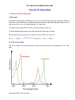 Ôn thi TN - Chuyên đề Quang hợp