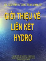 liên kết hidro