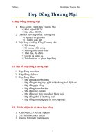 Hợp đồng thương mại 